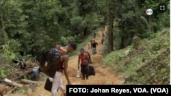 Un grupo de migrantes en la puerta de entrada a la inhóspita jungla del Darién, en Colombia. (FOTO: Johan Reyes, VOA)