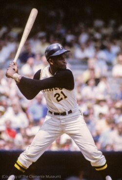 Roberto Clemente en un turno al bate en el parque de pelota Forbes Field en Pittsburgh, alrededor del año 1967. (Foto cedida por The Clemente Museum)